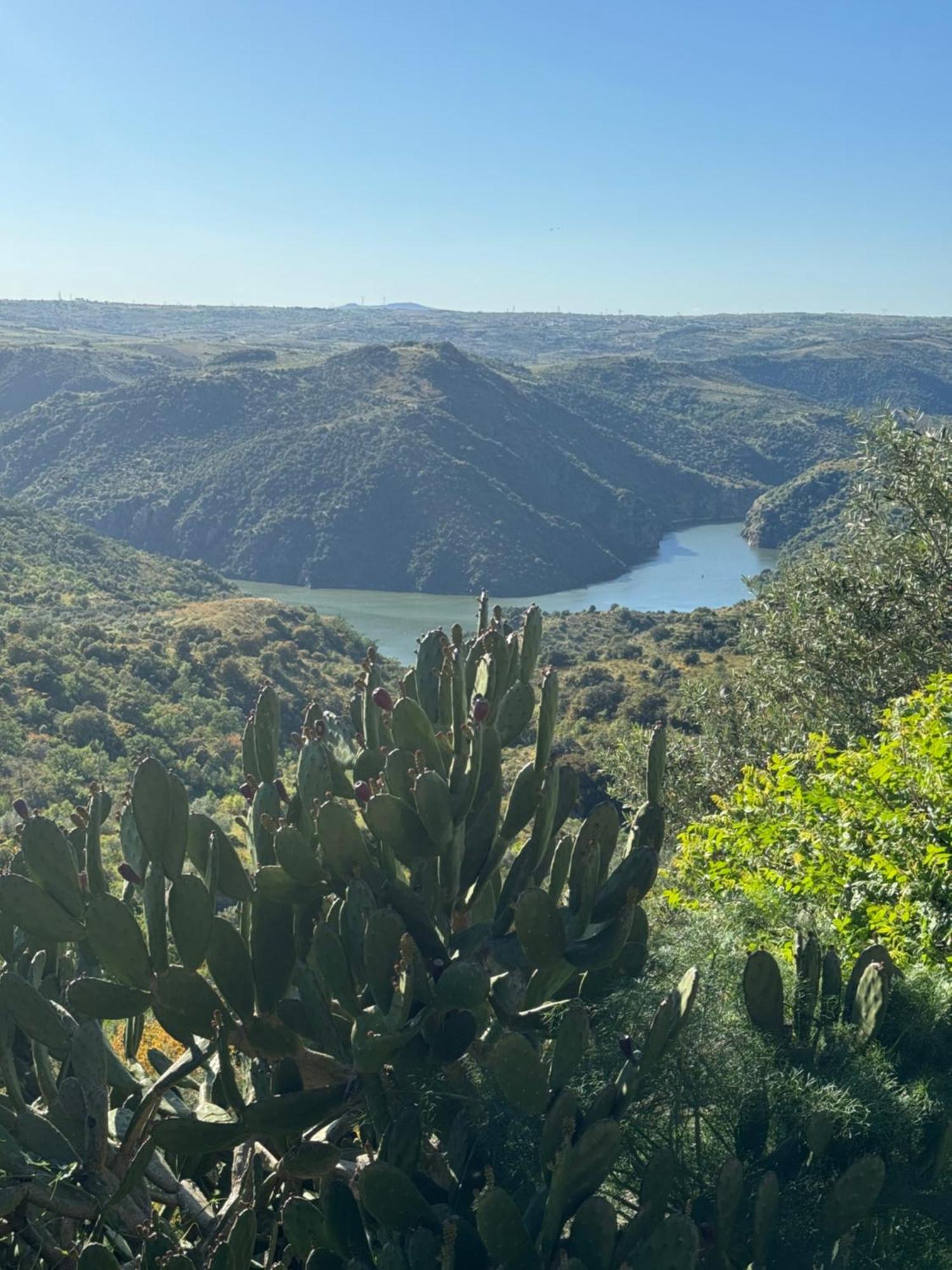 פרמוסל La Casita De Los Arribes מראה חיצוני תמונה